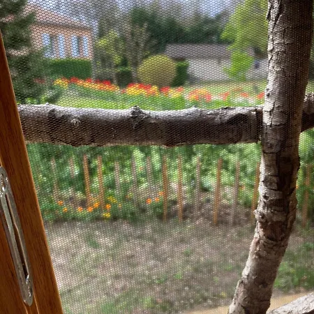 Insolite Entre Albi Et Cordes-sur-ciel Luxuszelt